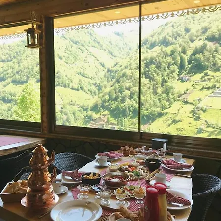 Yamacda Çamlıhemşin